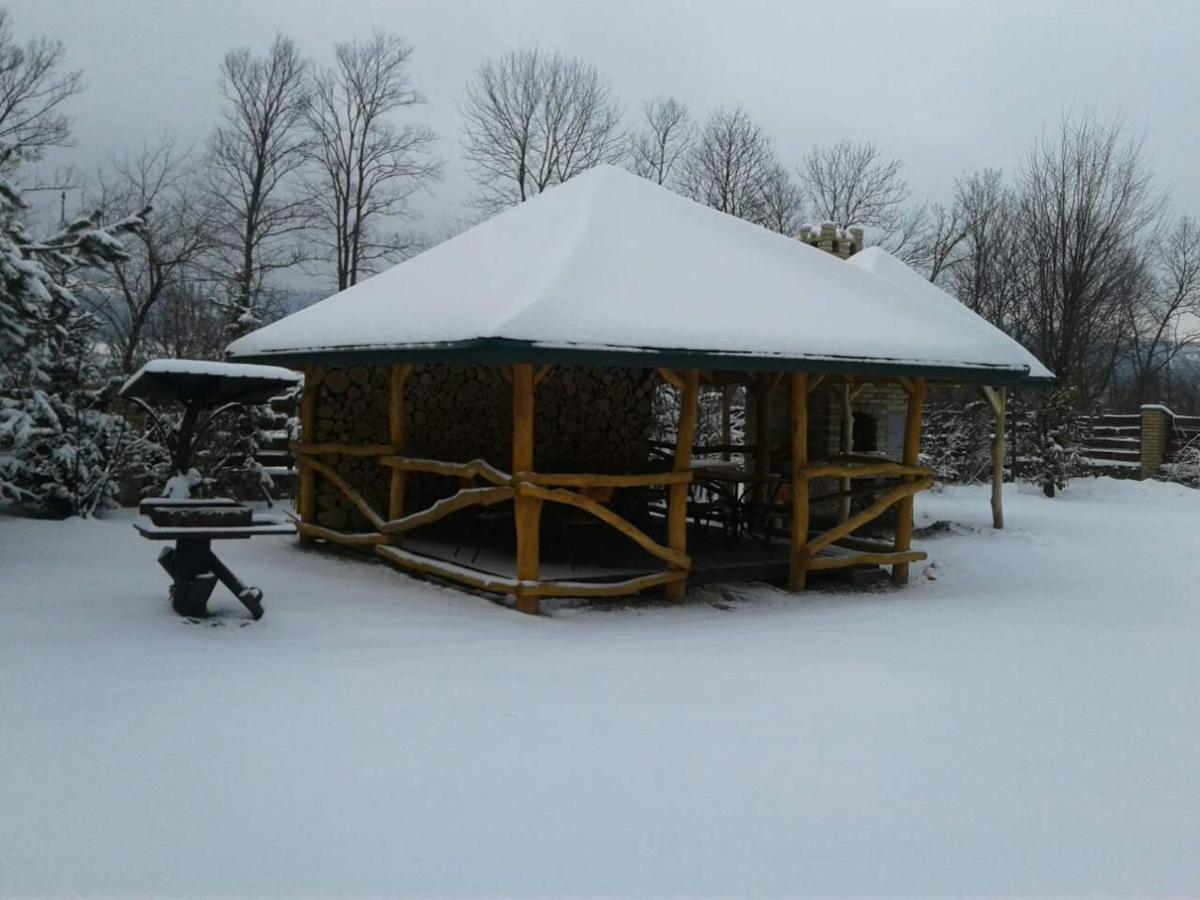 Karpaty Viking Motel Nizhneye Sinevidnoye ภายนอก รูปภาพ