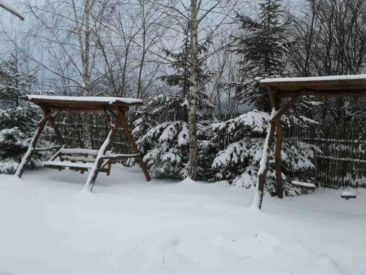 Karpaty Viking Motel Nizhneye Sinevidnoye ภายนอก รูปภาพ