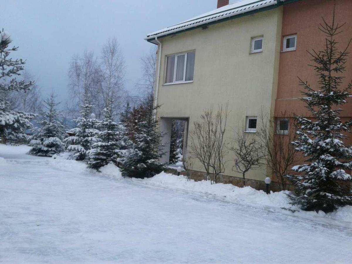 Karpaty Viking Motel Nizhneye Sinevidnoye ภายนอก รูปภาพ